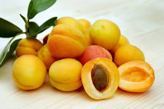 تصویر 4 از قیسی برگه آلو خشک شده با کیفیت و ماندگاری بالا